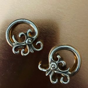 🌈✨ 10 G Sterling Silver Weighted Earrings